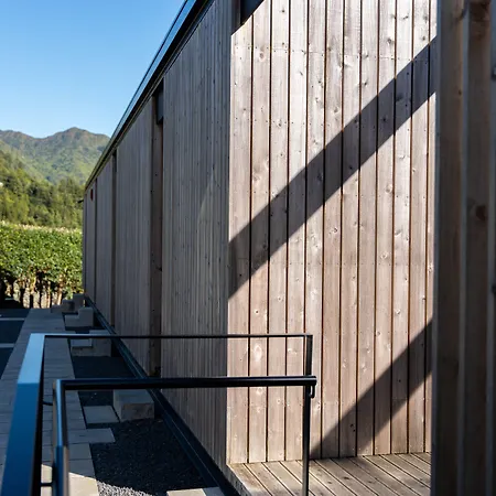 Landescape Furnas (Azores)