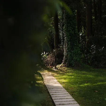Bed & Breakfast Landescape Furnas
